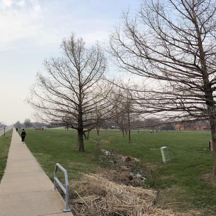 Part of the perimeter walk around King Park. There were a lot of people out today. Near Emma Creek Park / King Park Path