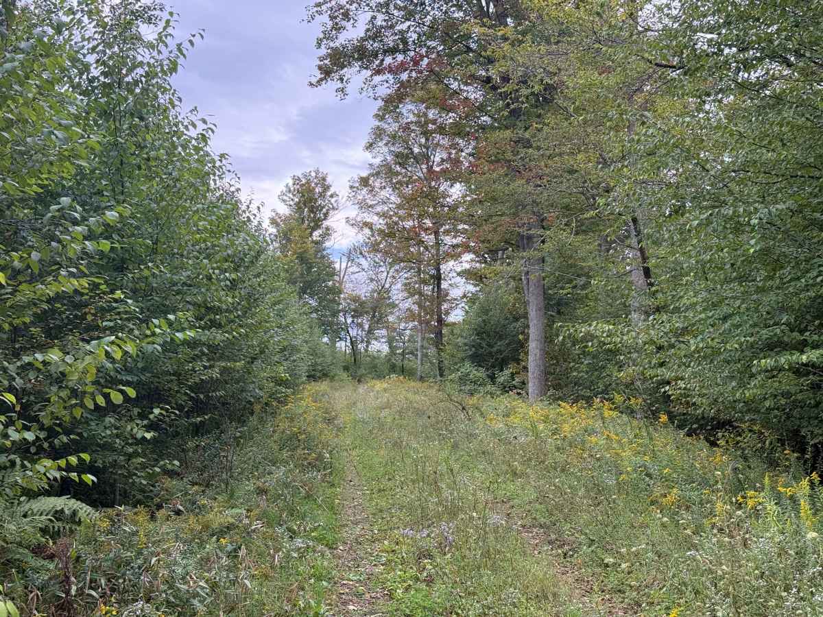 Root Run A - FS 142A photo 6