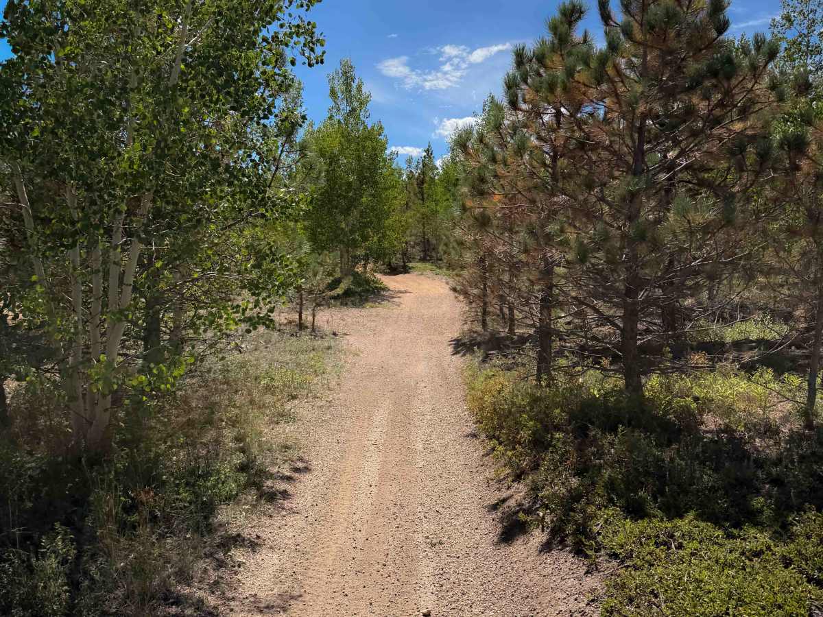 Turkey Creek 731  photo 4