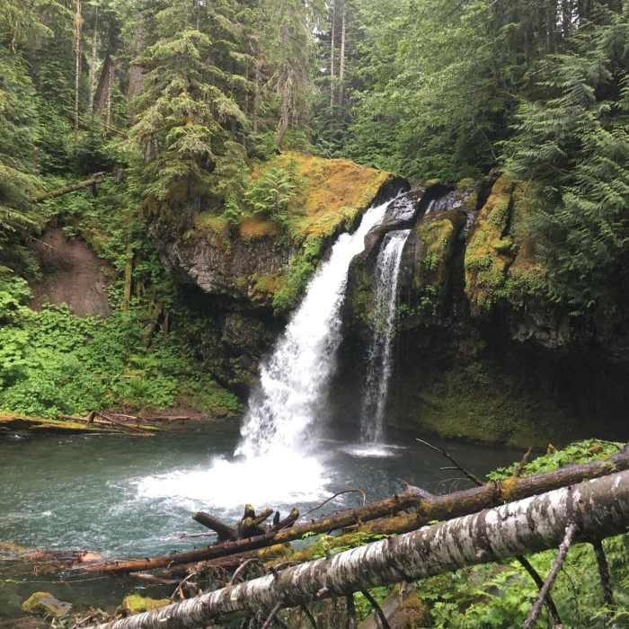 Near Iron Creek Falls