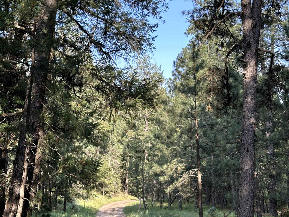 Hughes Canyon Road photo 6