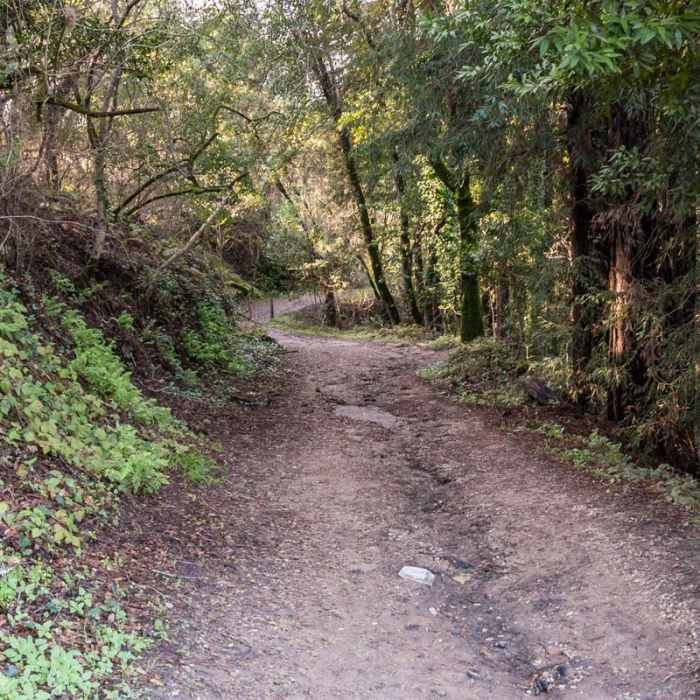 Near Enchanted Trail Hike