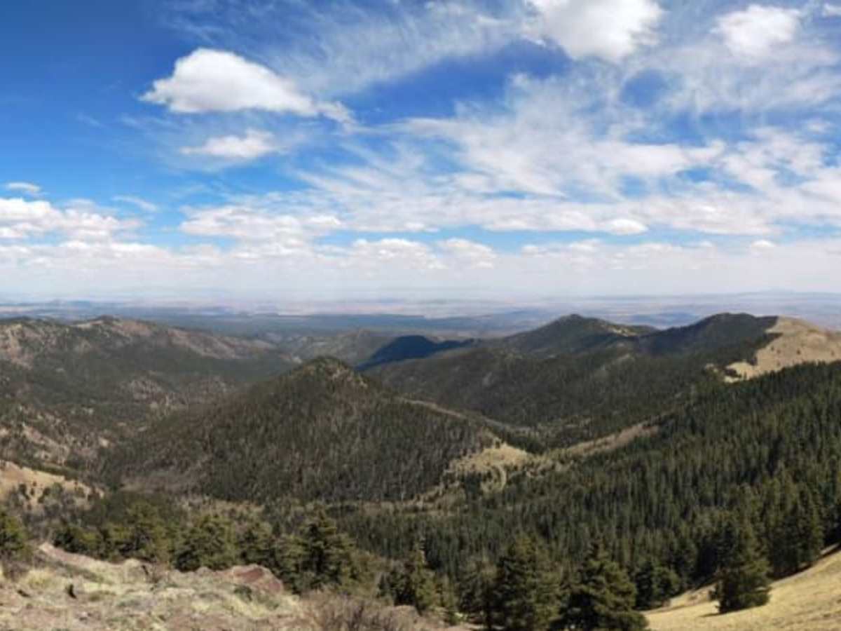 Mt. Taylor Peak 4x4 Road photo 2