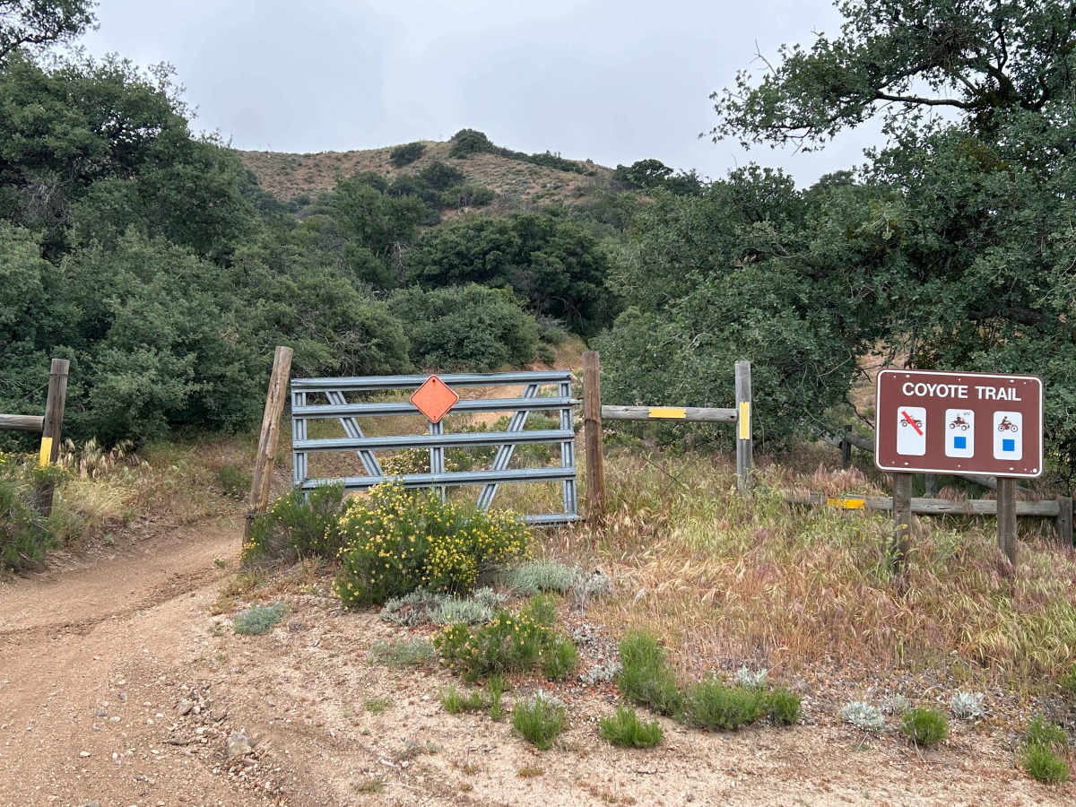 Coyote Trail trail photo