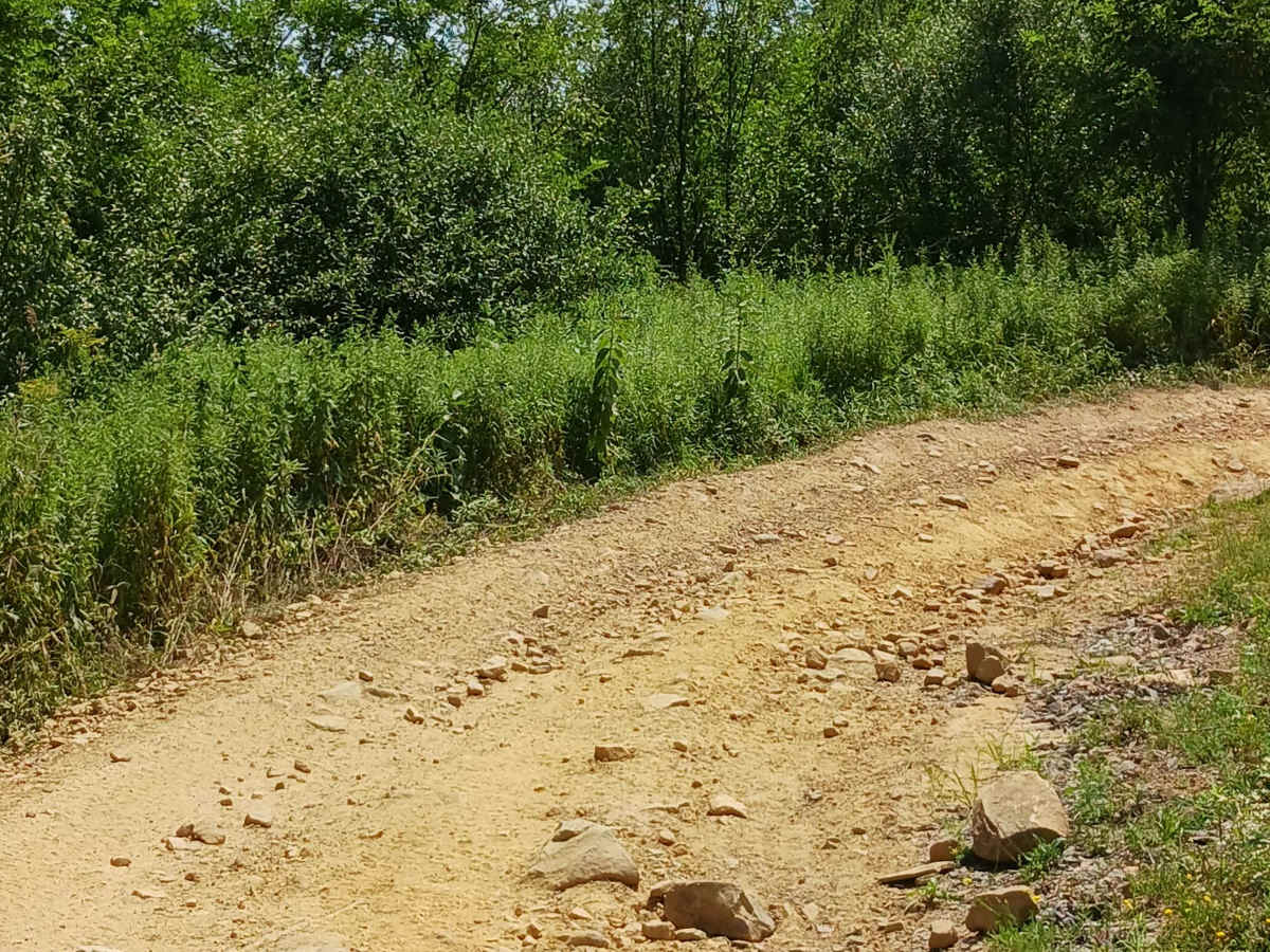 Blue Pipe - Rock Run Recreation Area photo 6