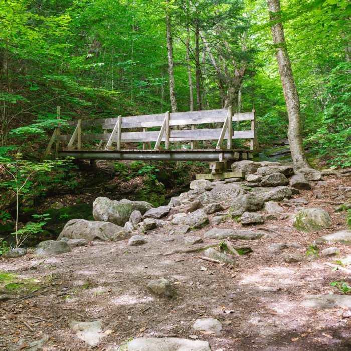 Near Mount Cardigan via the Holt Trail Loop