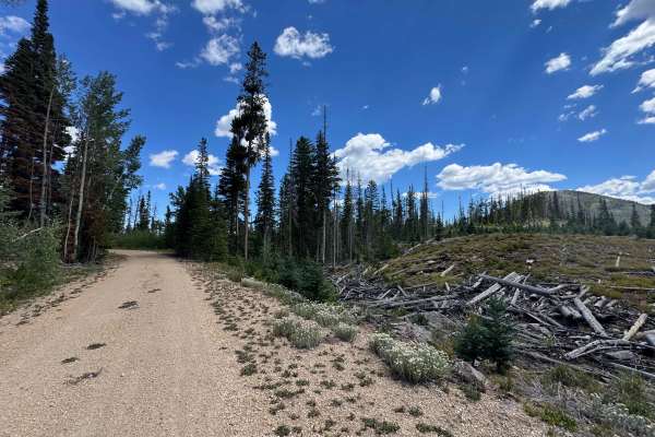 Hump Road