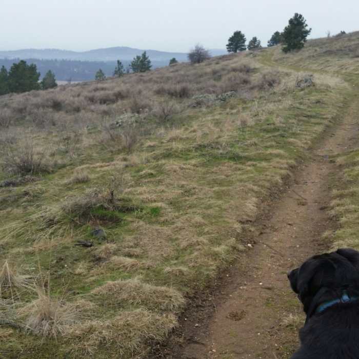 Near Uplands Loop