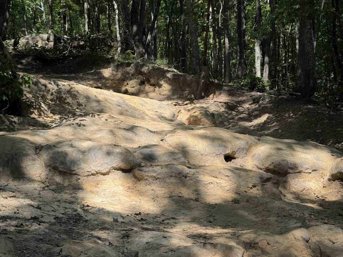 High Rock Trail trail photo