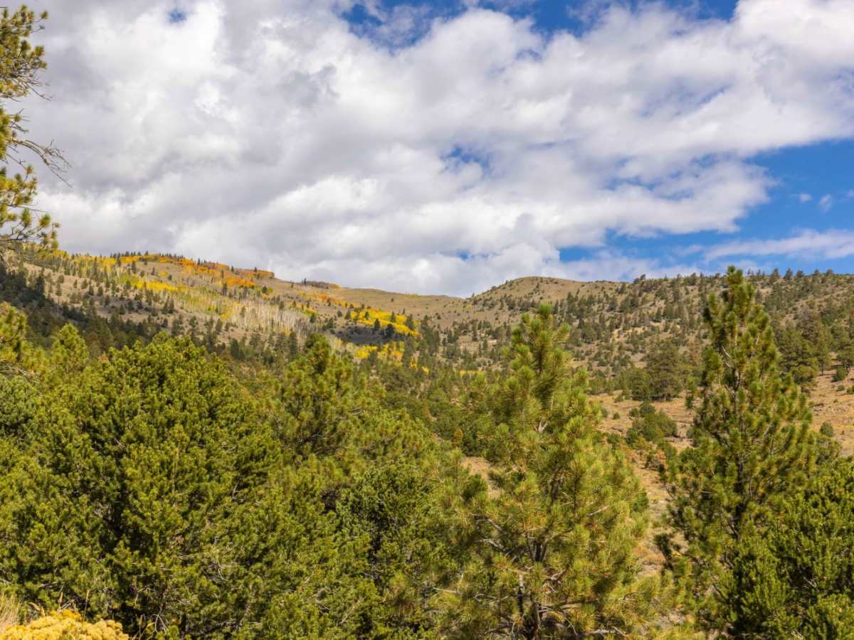 Loa Great Western Trail photo 6