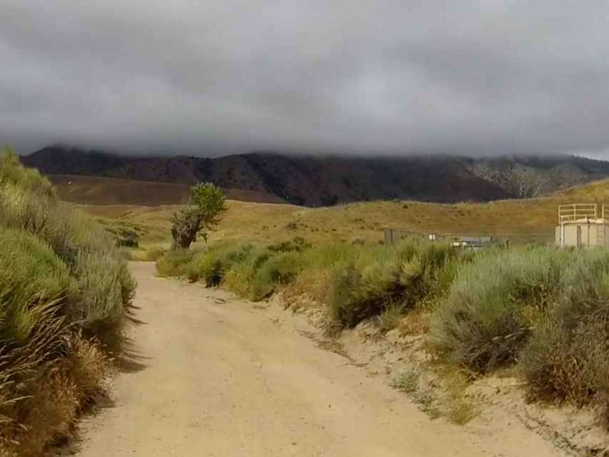 Stipa Trail photo 2