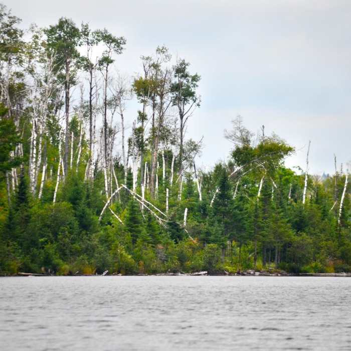 Near Bean Lake + Bear Lake via the Superior Hiking Trail