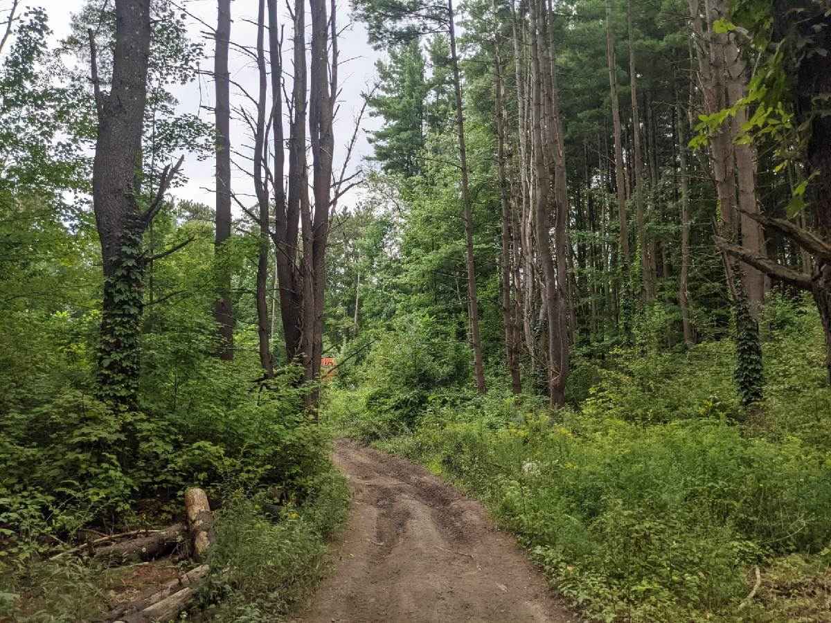 Oswego Recreational Trail photo 4