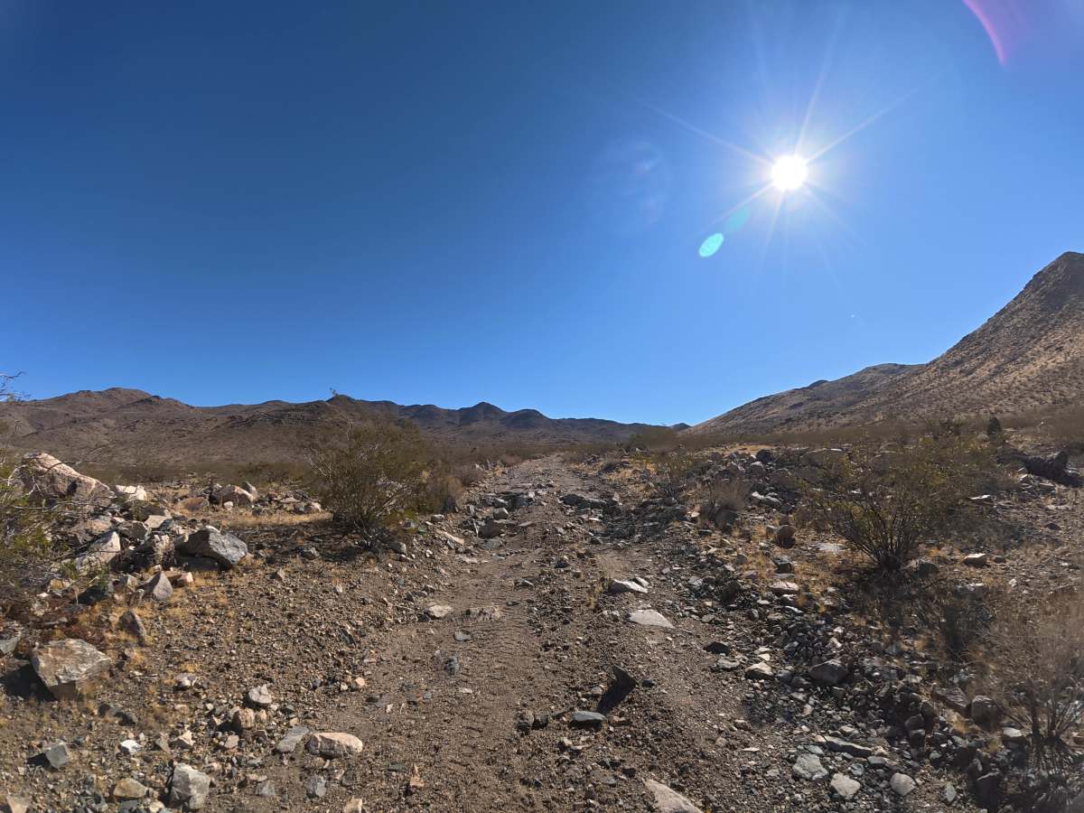 BLM 6604 photo 2
