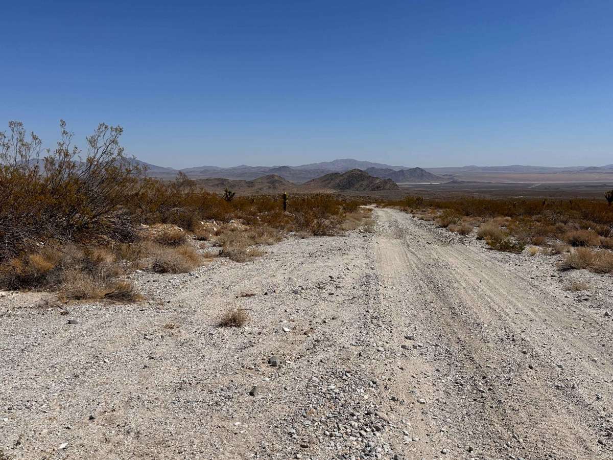 Coyote Gap photo 3