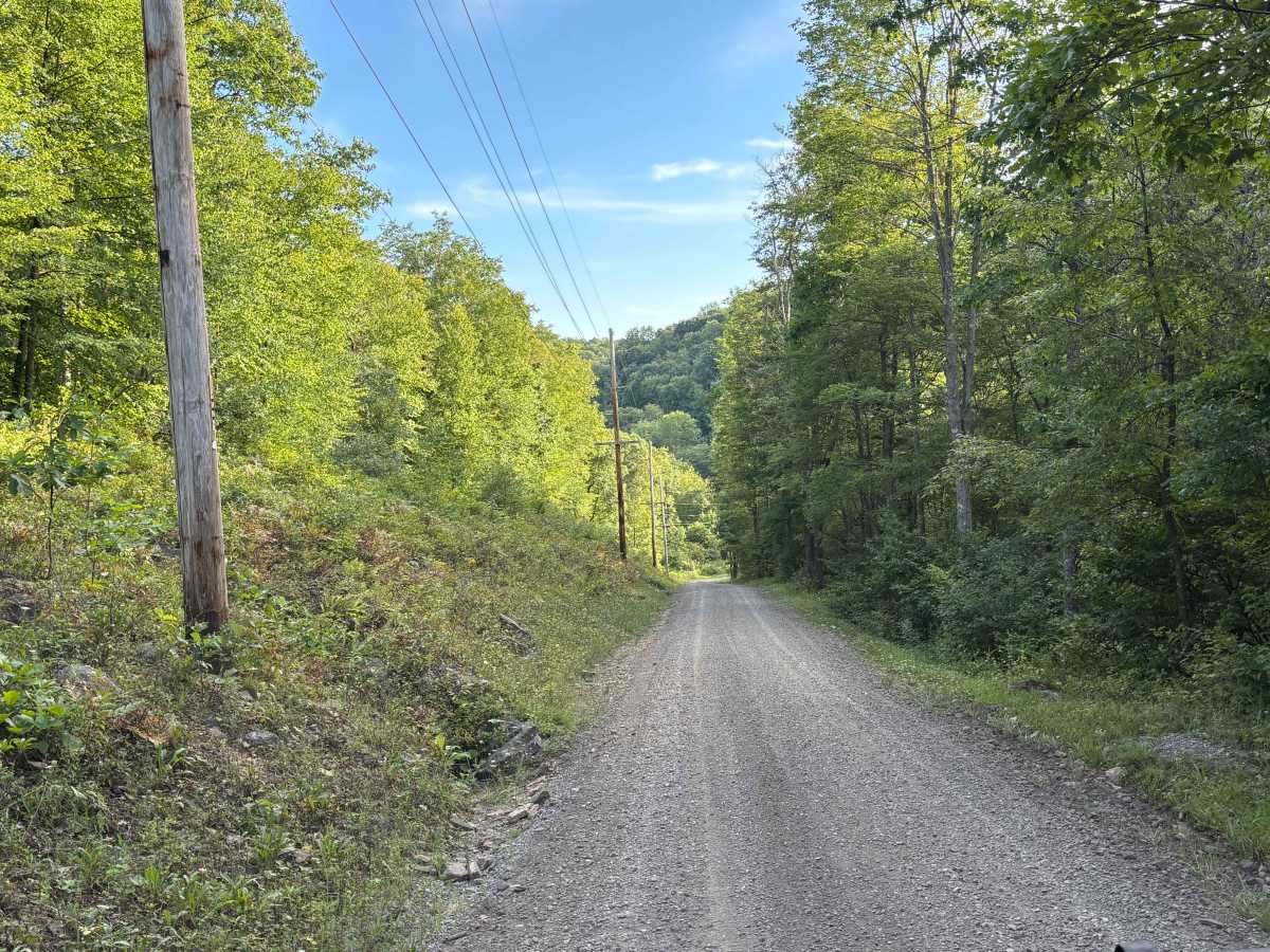 Merril Road photo 4