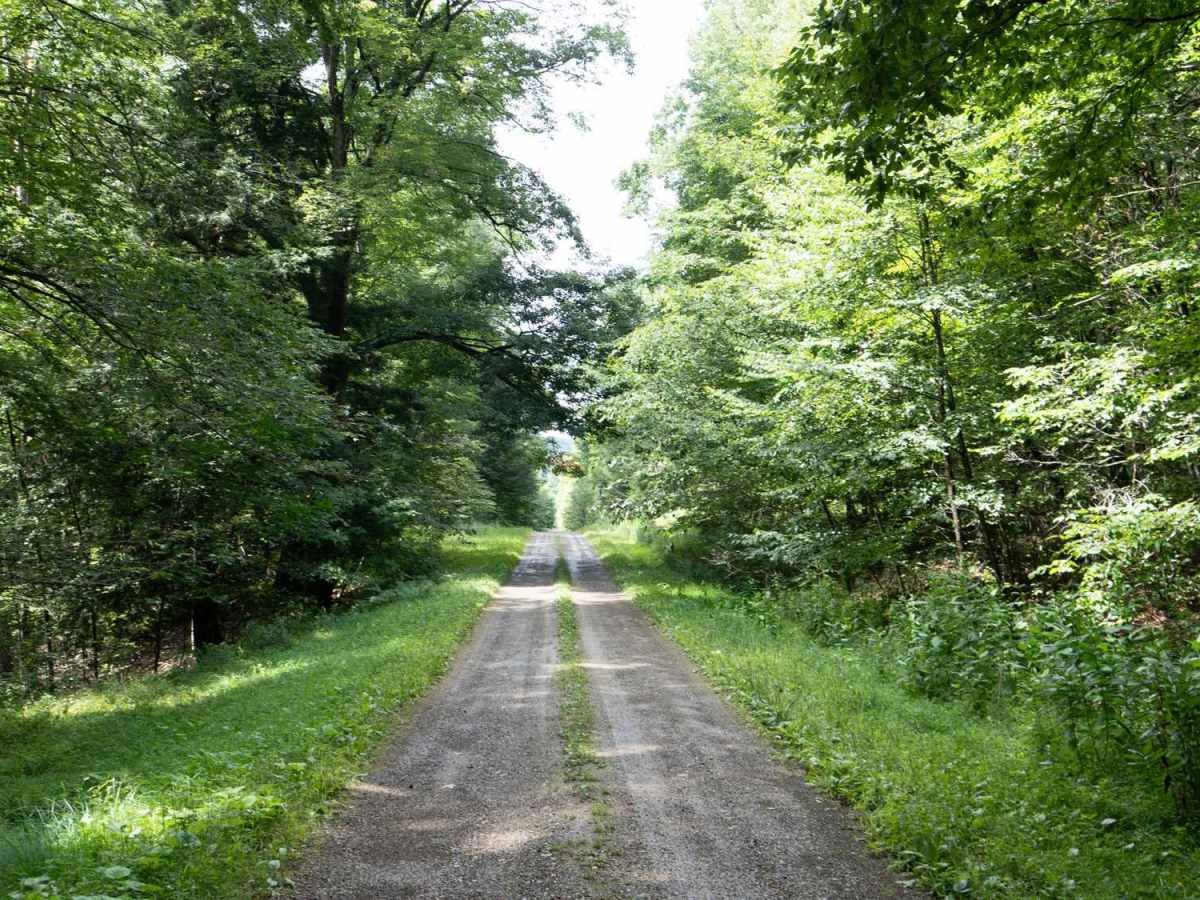 Bay State Road photo 6