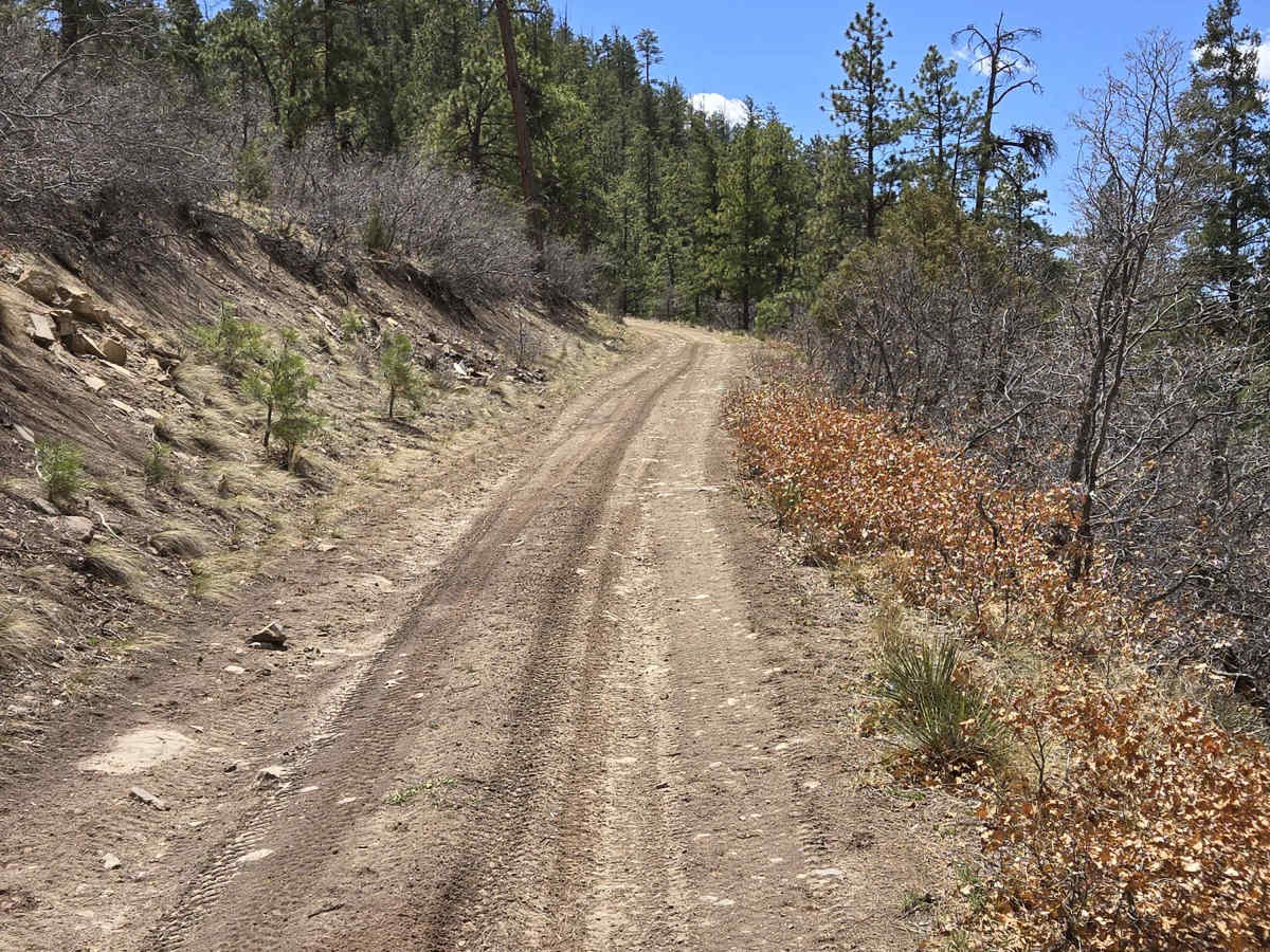 Hogback Trail photo 3