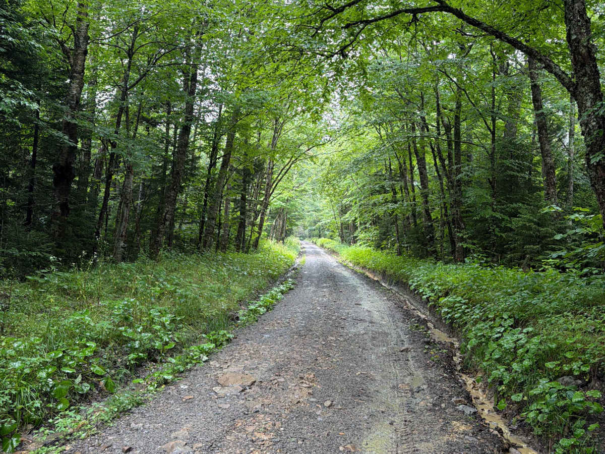 Briery Run Road - CFR 29 trail photo