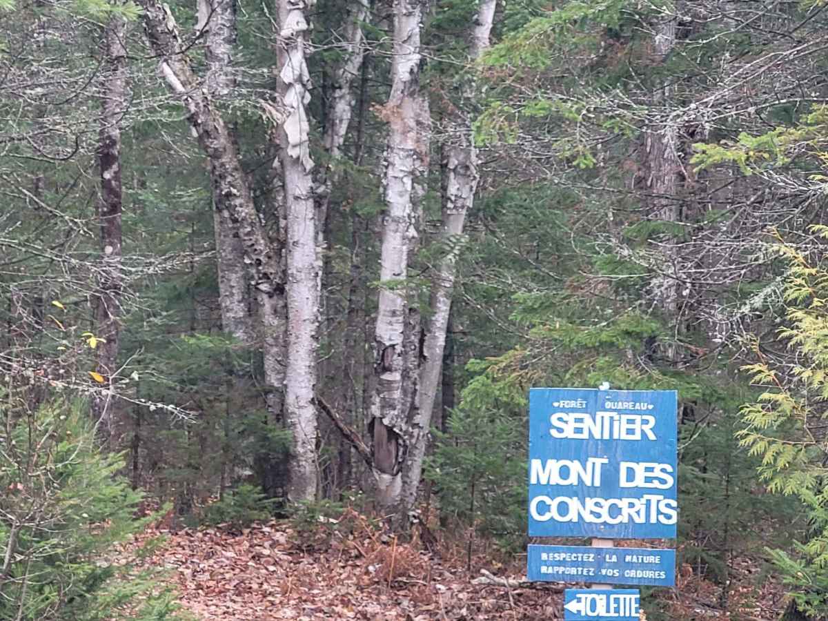 Lac des Pins Rouge photo 5