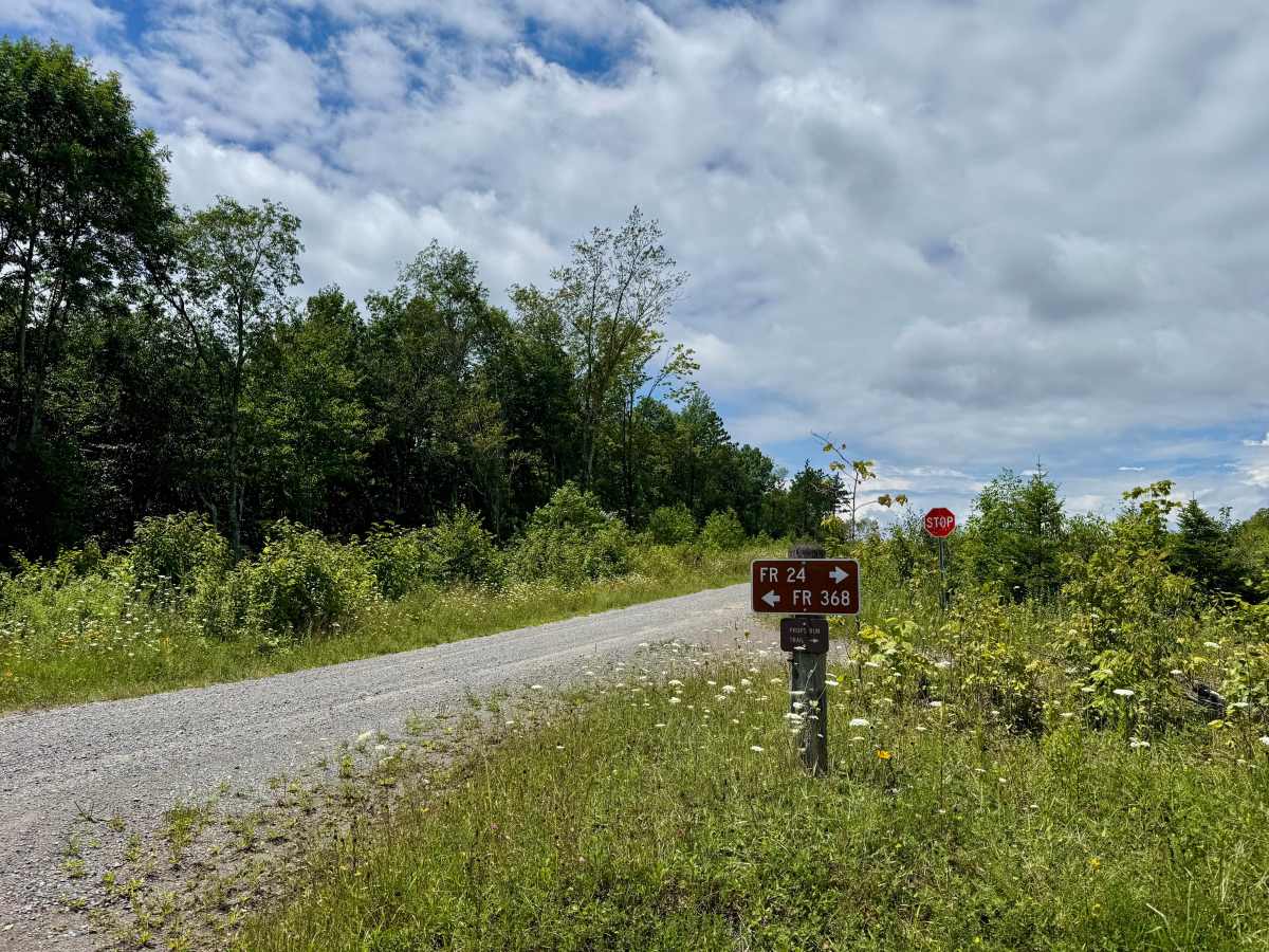 FS 368 trail photo