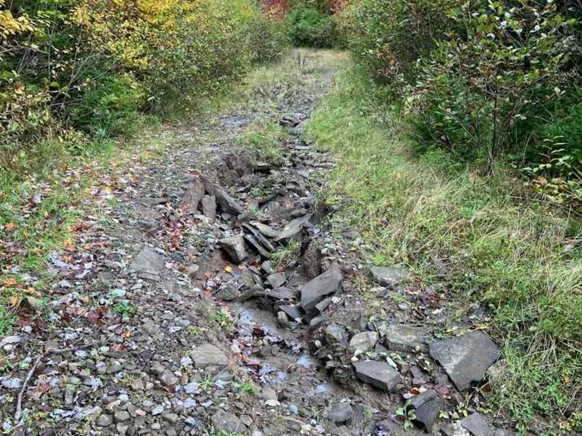 Macleod Road photo 4