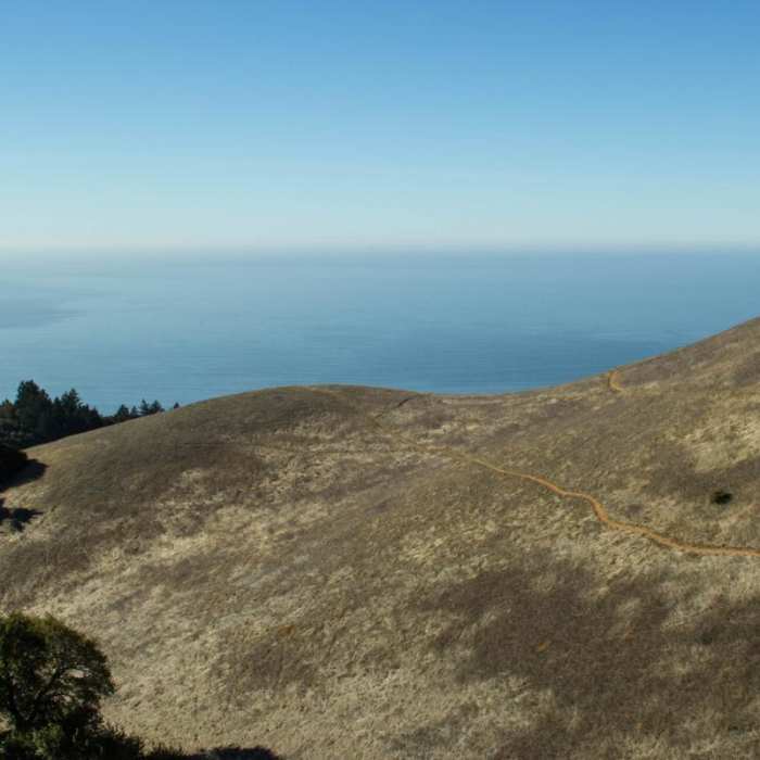 Near Coastal Trail, Pantoll to West Ridgecrest Boulevard