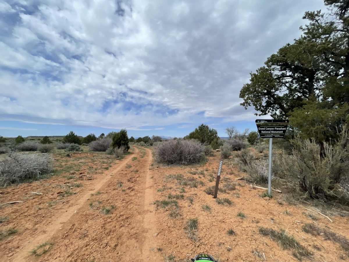 Mustang Knoll photo 3