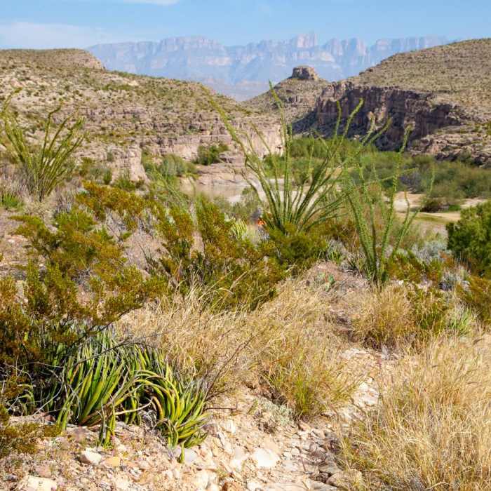 Near Hot Springs Canyon Rim Trail