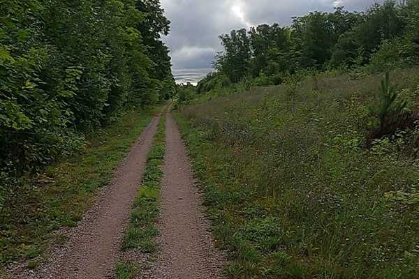Cleveland Cliff- Empire Mines Trackway