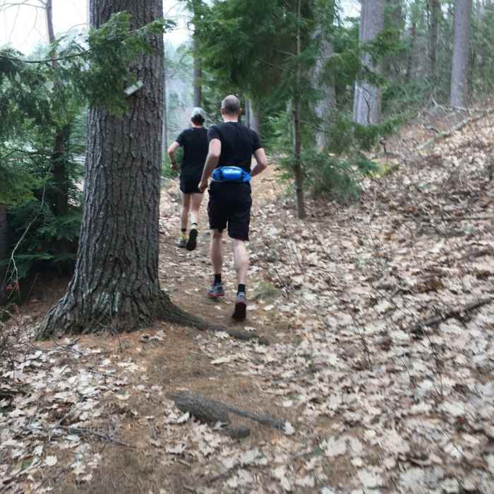 Near Pawtuckaway North and South Mountain Linkup