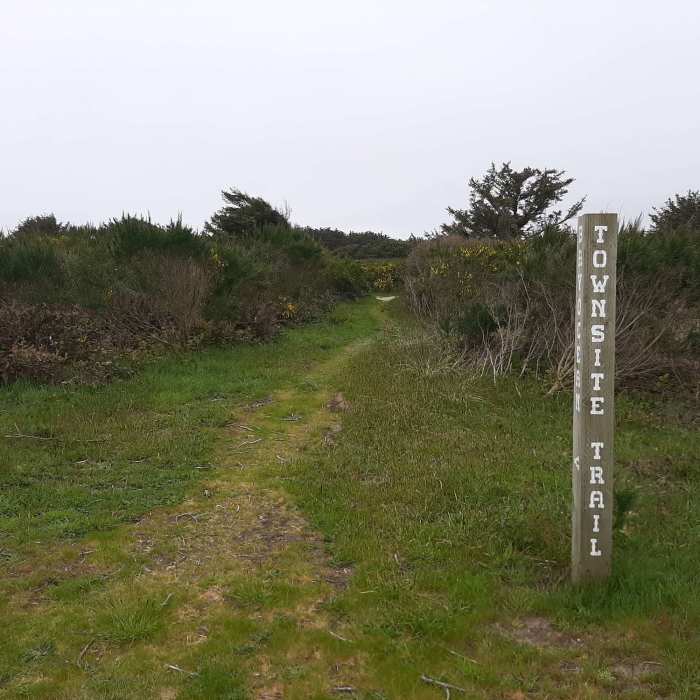 Near Bayocean Peninsula Loop Trail