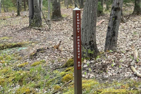 Kennedy Preserve Road