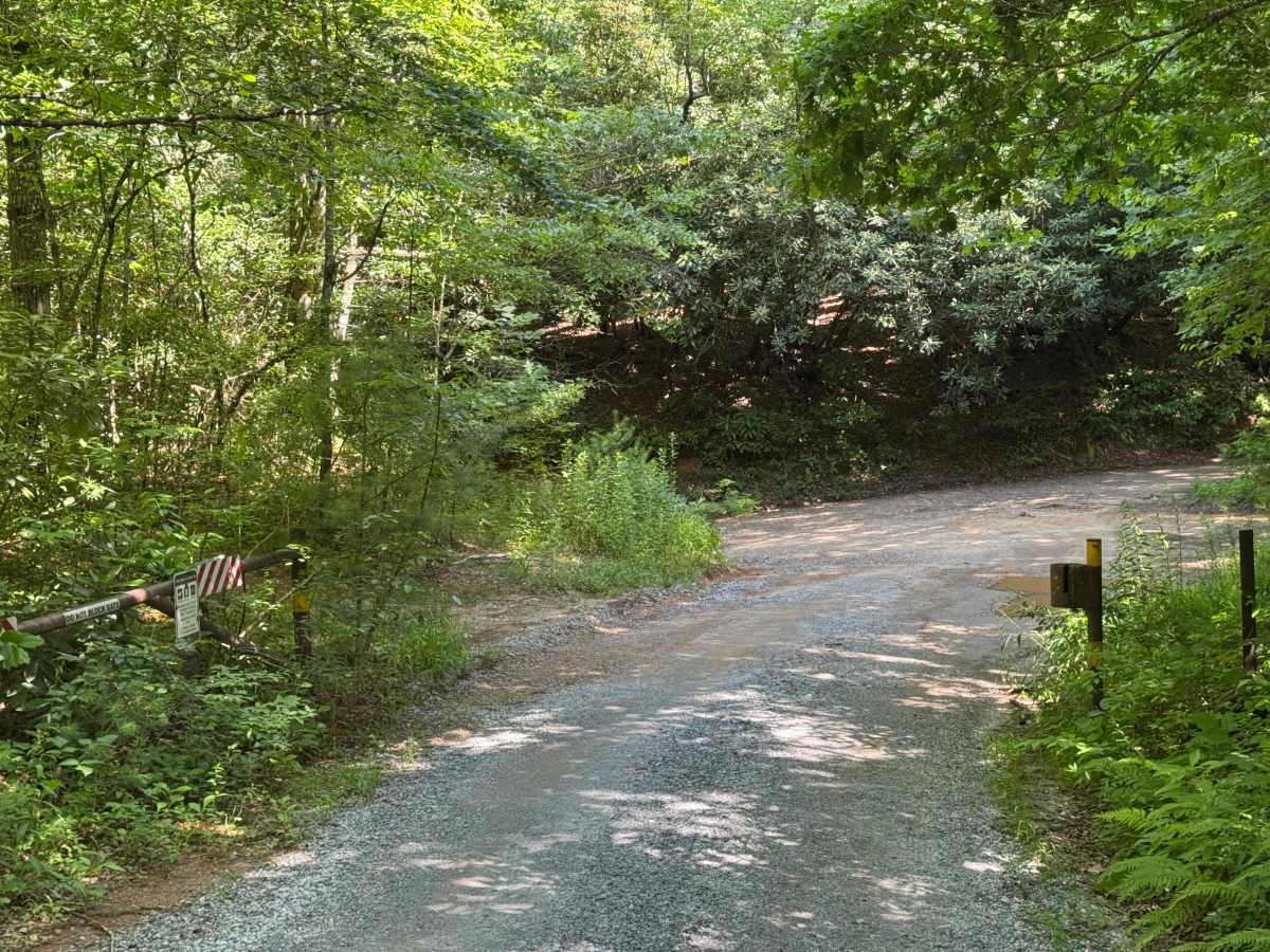 Beachertown (FS 308) trail photo