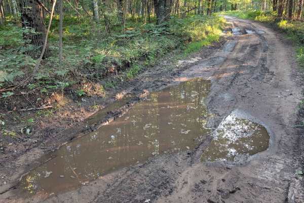 Stelmach Trail
