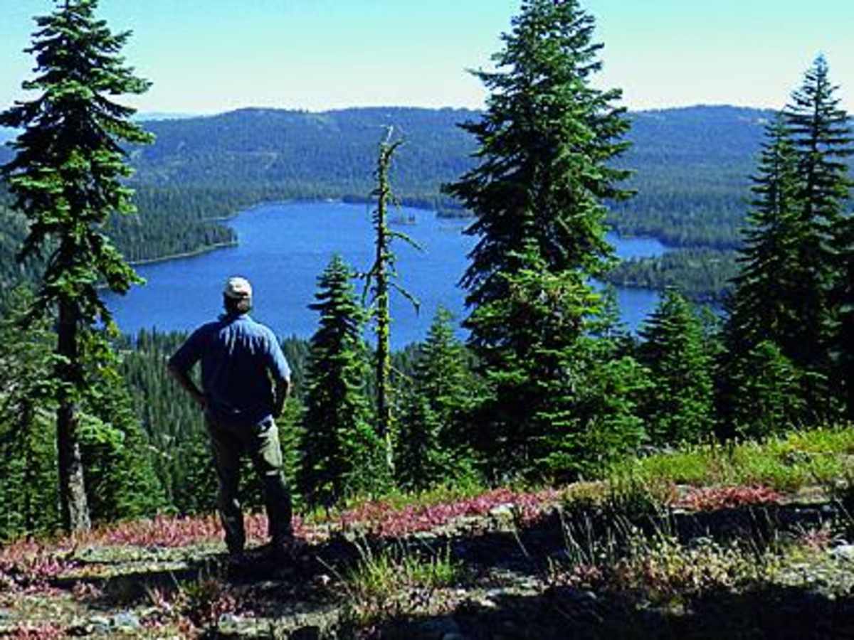 Snake Lake photo 5