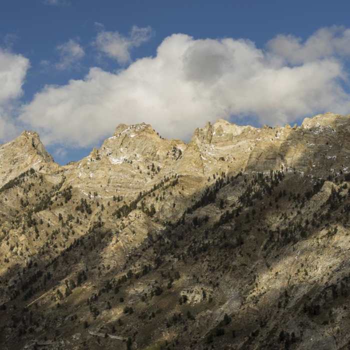 Near Island Lake Trail Near Island Lake Trail