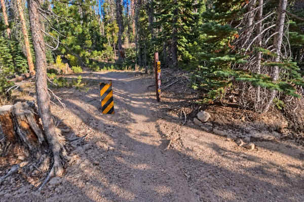 FS 3S109 Singletrack