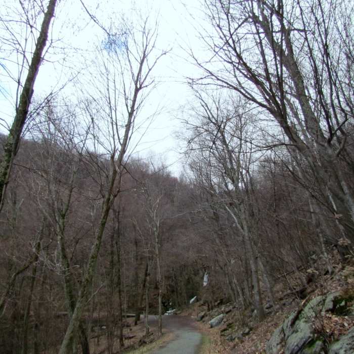 Near Story of the Forest Trail