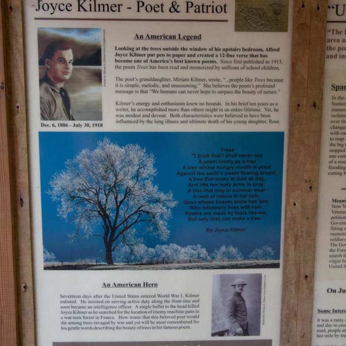 Near Joyce Kilmer Memorial Forest Loop Near Joyce Kilmer Memorial Forest Loop