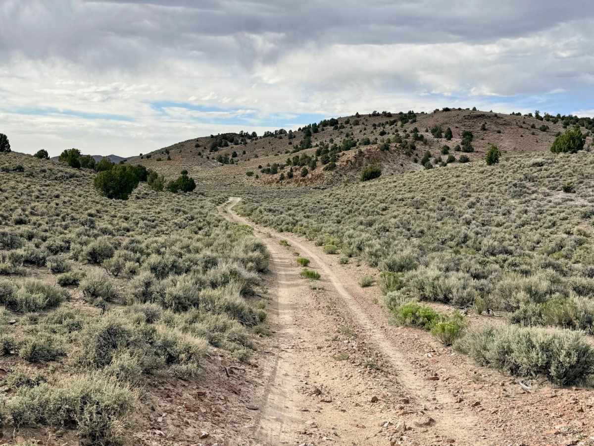 Blackburn Admin Site - FS 43355 trail photo