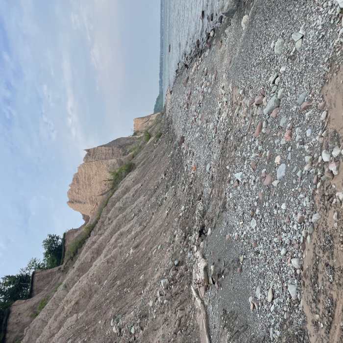 Near Lakeshore / Woodland Loop