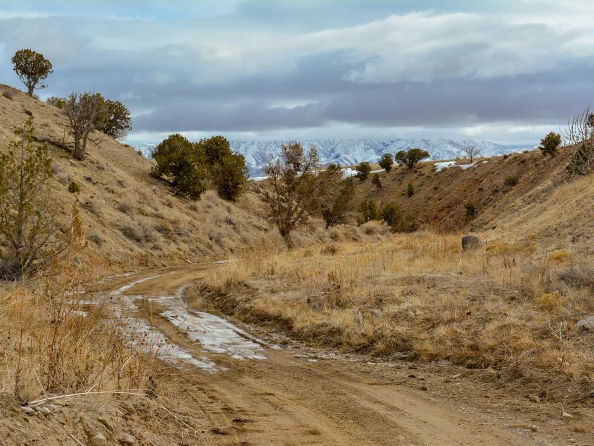 Hastings Pass and Eightmile Spring trail photo