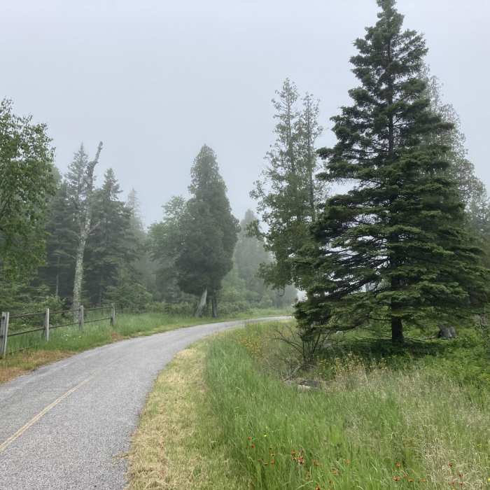 Near Gitchi-Gami State Trail - Gooseberry Falls State Park to Split Rock Lighthouse State Park Segment