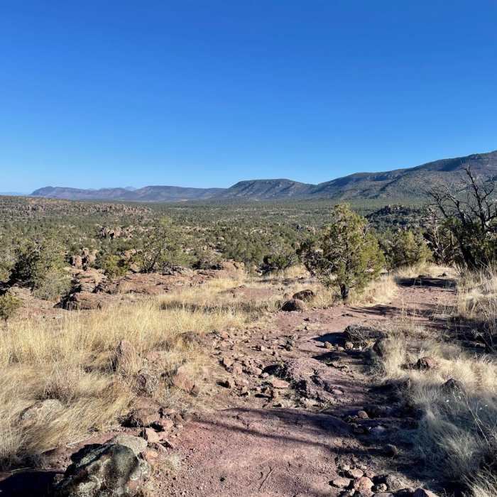 Near Continental Divide Trail: Gila River Alternate (Part 1)