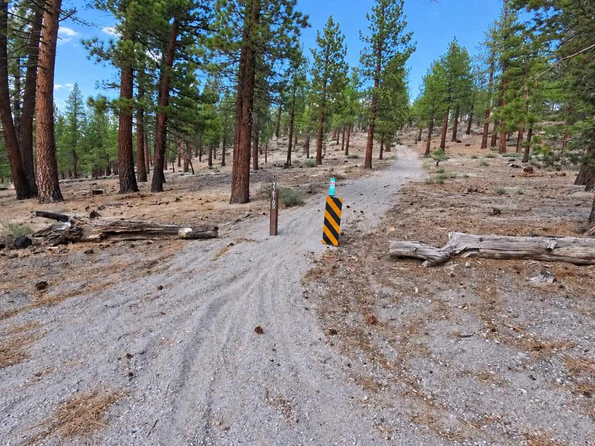 FS 27E105 trail photo
