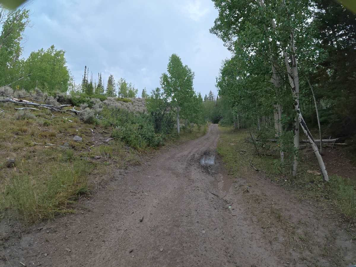 Long Lake Road photo 5