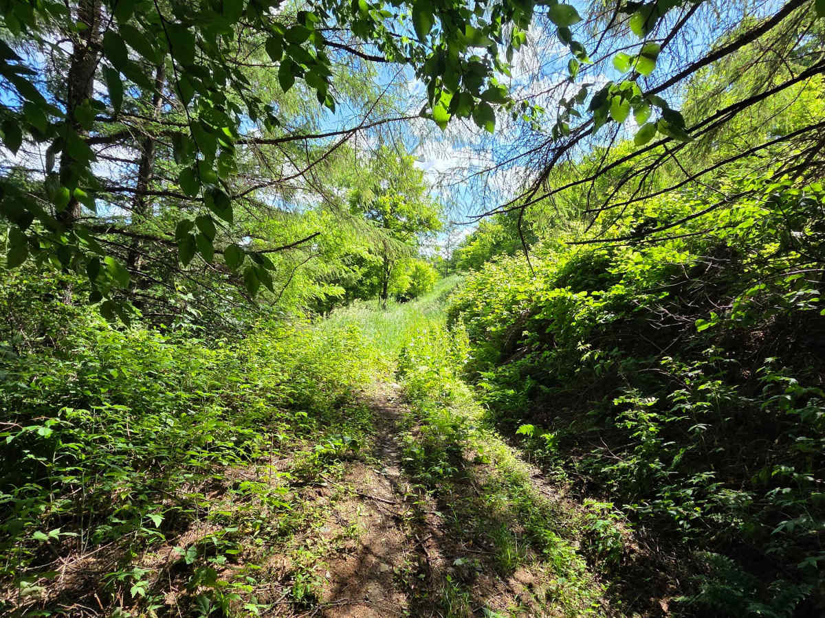 Single Track G photo 4