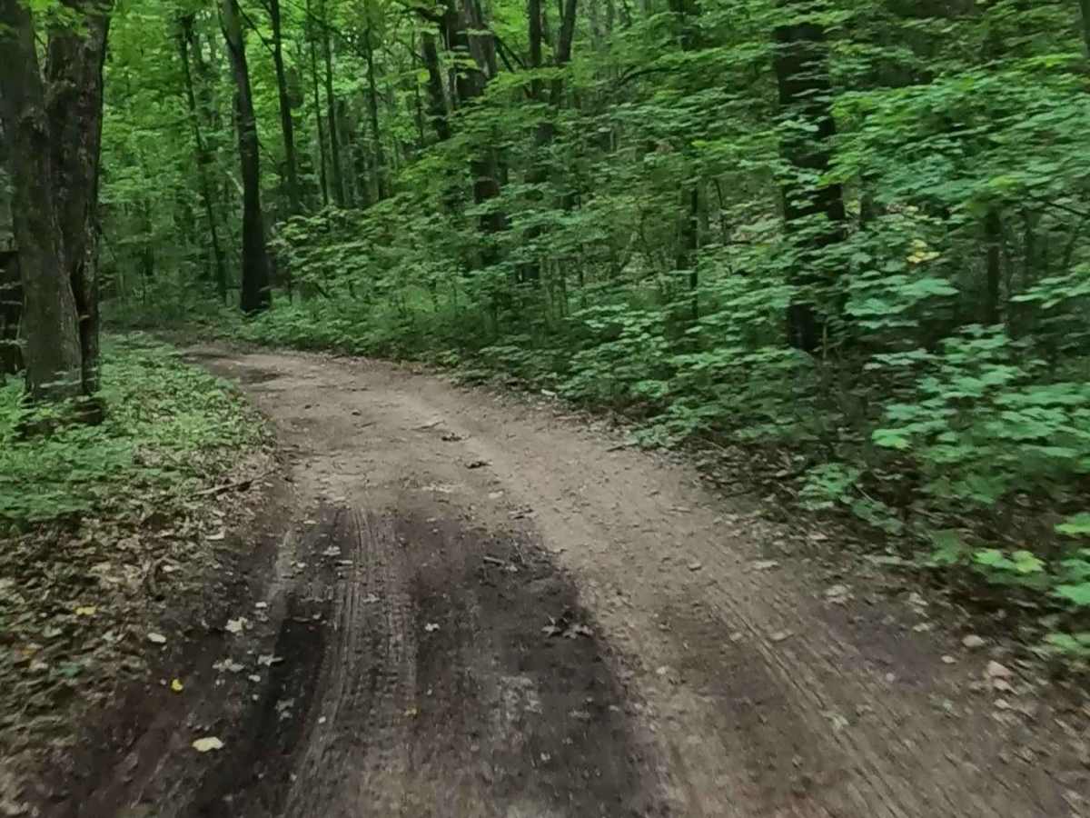 De Mull Creek Trail trail photo