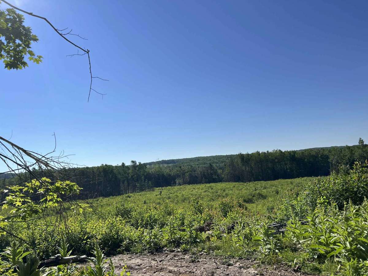 Forest County ATV/ SxS Loop 2 Bypass  photo 6